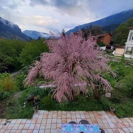 A La Maioun Appartement